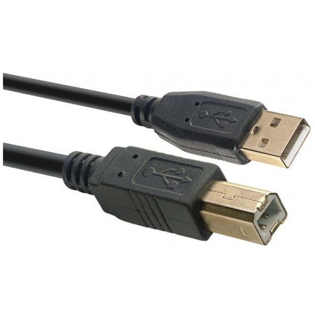 Fotografie Stagg NCC5UAUB, kabel USB 2.0, USB A/USB B, 5m